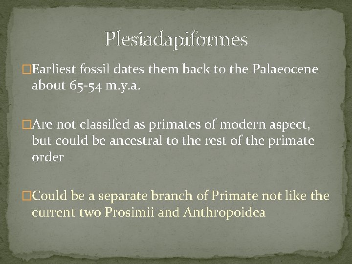 Plesiadapiformes �Earliest fossil dates them back to the Palaeocene about 65 -54 m. y.