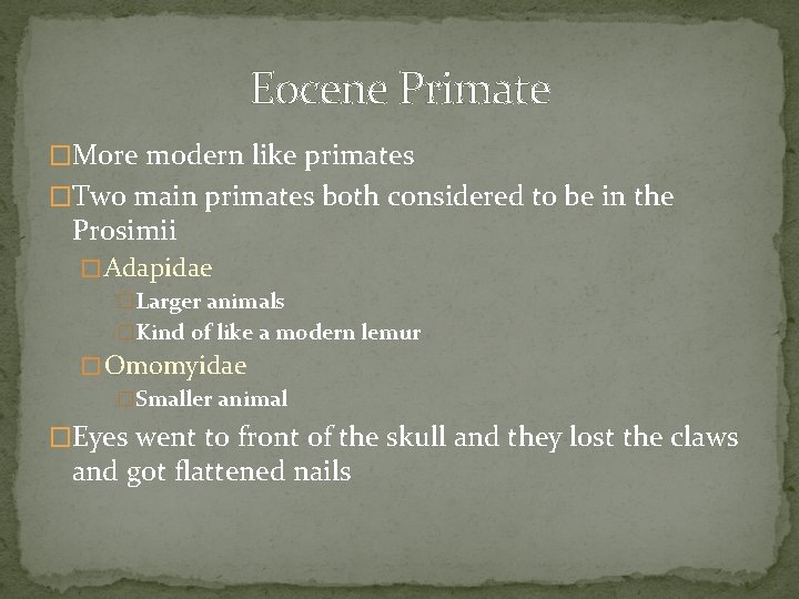 Eocene Primate �More modern like primates �Two main primates both considered to be in