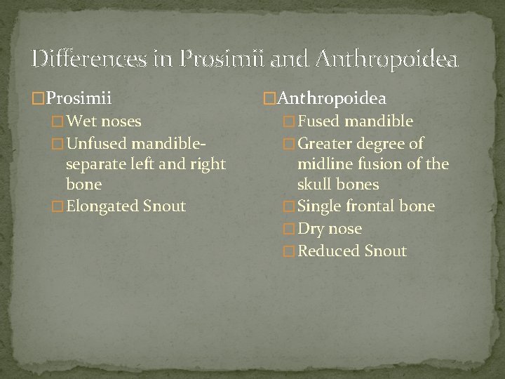 Differences in Prosimii and Anthropoidea �Prosimii �Anthropoidea � Wet noses � Fused mandible �