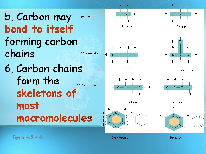 5. Carbon may bond to itself forming carbon chains 6. Carbon chains form the