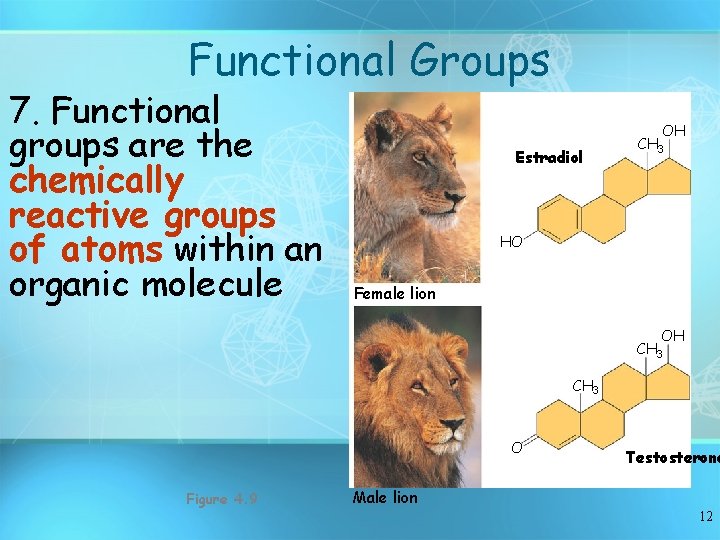 Functional Groups 7. Functional groups are the chemically reactive groups of atoms within an