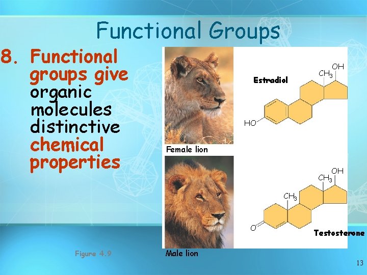 Functional Groups 8. Functional groups give organic molecules distinctive chemical properties Estradiol OH CH