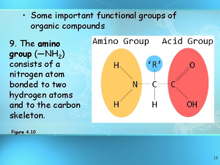 • Some important functional groups of organic compounds 9. The amino group (—NH
