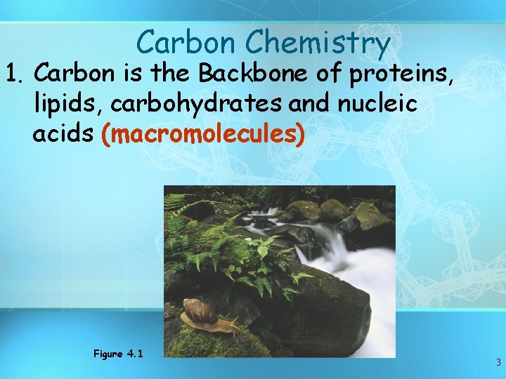 Carbon Chemistry 1. Carbon is the Backbone of proteins, lipids, carbohydrates and nucleic acids