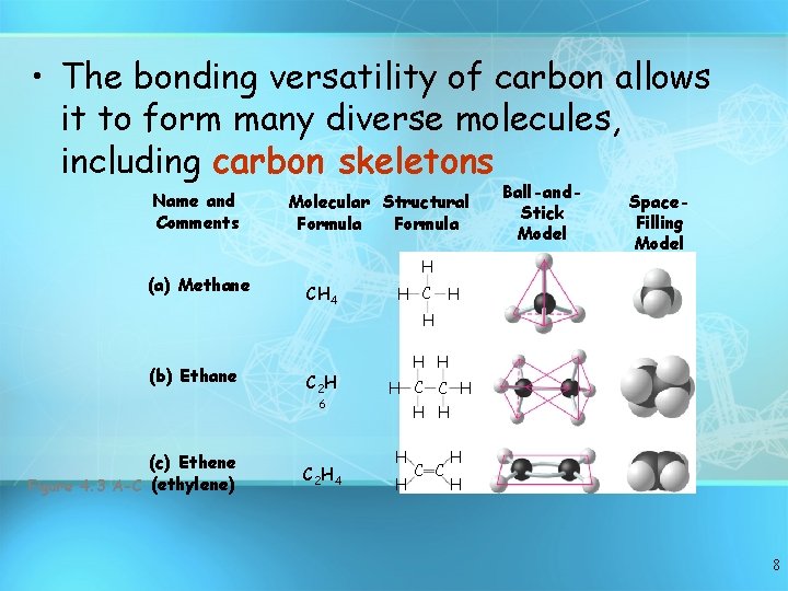  • The bonding versatility of carbon allows it to form many diverse molecules,