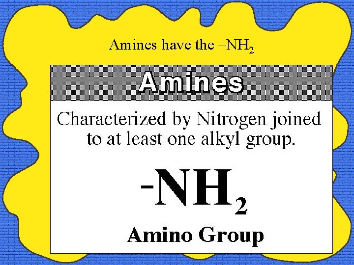 Amines have the –NH 2 