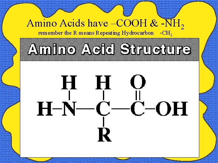 Amino Acids have –COOH & -NH 2 remember the R means Repeating Hydrocarbon -CH