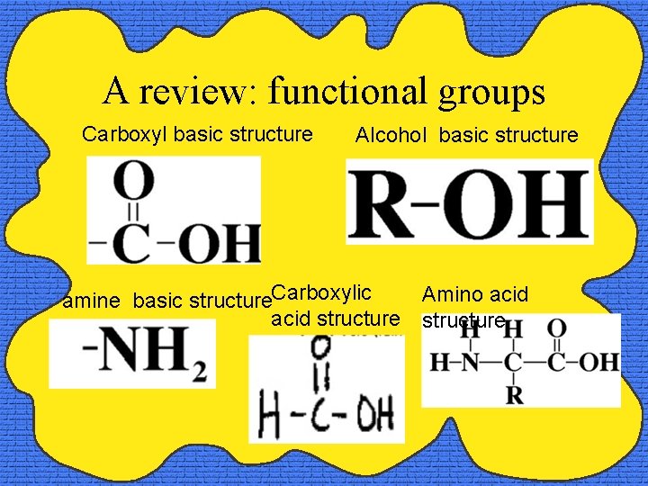 A review: functional groups Carboxyl basic structure Alcohol basic structure amine basic structure. Carboxylic