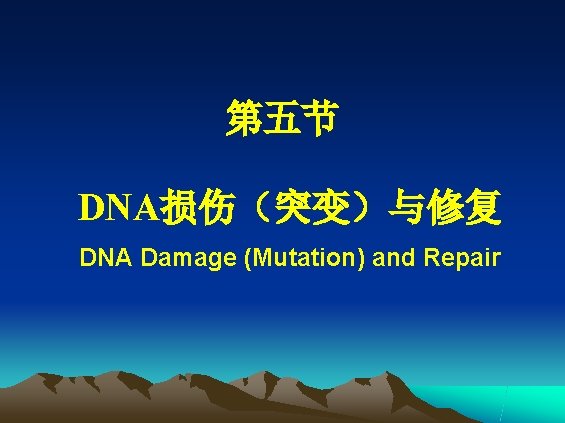 第五节 DNA损伤（突变）与修复 DNA Damage (Mutation) and Repair 