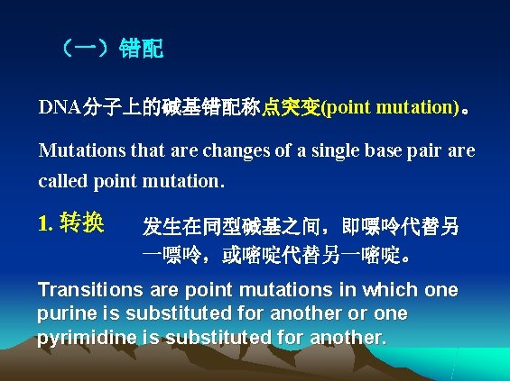 （一）错配 DNA分子上的碱基错配称点突变(point mutation)。 Mutations that are changes of a single base pair are called