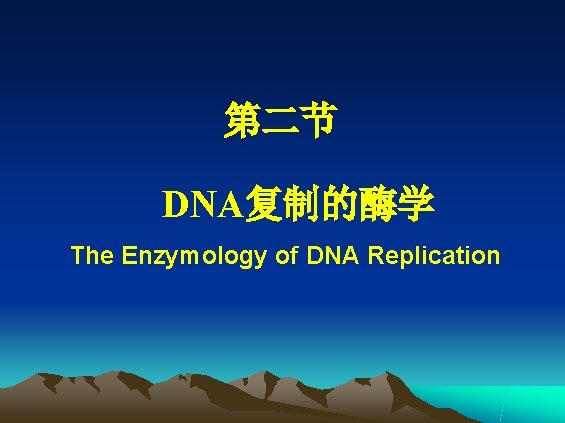 第二节 DNA复制的酶学 The Enzymology of DNA Replication 