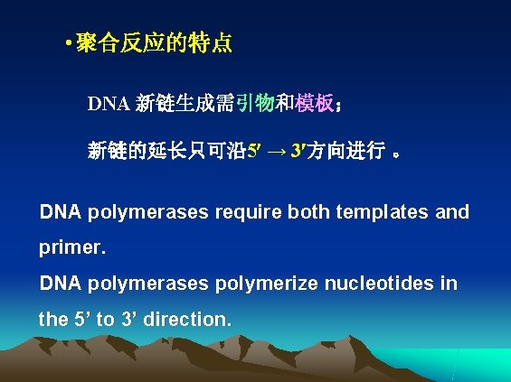  • 聚合反应的特点 DNA 新链生成需引物和模板； 新链的延长只可沿 5 → 3 方向进行 。 DNA polymerases require