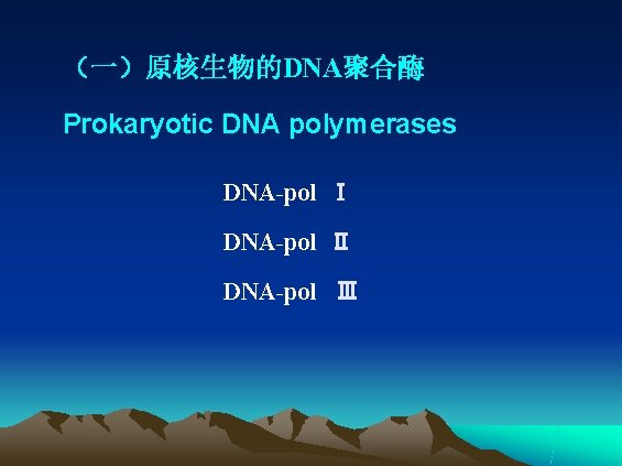 （一）原核生物的DNA聚合酶 Prokaryotic DNA polymerases DNA-pol Ⅰ DNA-pol Ⅱ DNA-pol Ⅲ 