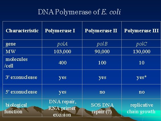 DNA Polymerase of E. coli Characteristic Polymerase III pol. A 103, 000 pol. B