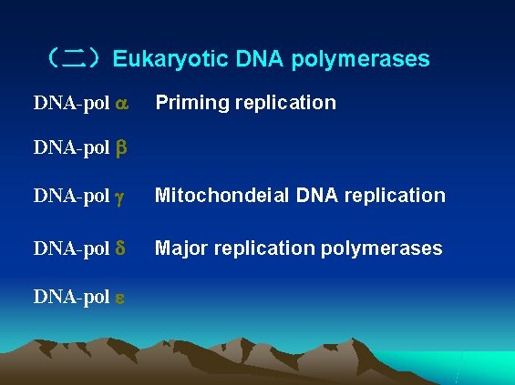 （二）Eukaryotic DNA polymerases DNA-pol Priming replication DNA-pol Mitochondeial DNA replication DNA-pol Major replication polymerases