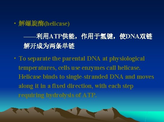  • 解螺旋酶(helicase) ——利用ATP供能，作用于氢键，使DNA双链 解开成为两条单链 • To separate the parental DNA at physiological temperatures,