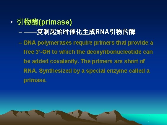  • 引物酶(primase) – ——复制起始时催化生成RNA引物的酶 – DNA polymerases require primers that provide a free