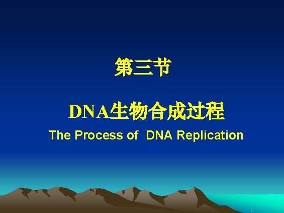 第三节 DNA生物合成过程 The Process of DNA Replication 