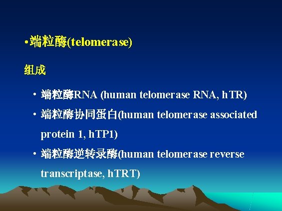  • 端粒酶(telomerase) 组成 • 端粒酶RNA (human telomerase RNA, h. TR) • 端粒酶协同蛋白(human telomerase