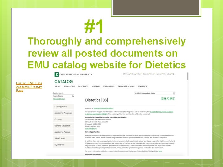 #1 Thoroughly and comprehensively review all posted documents on EMU catalog website for Dietetics