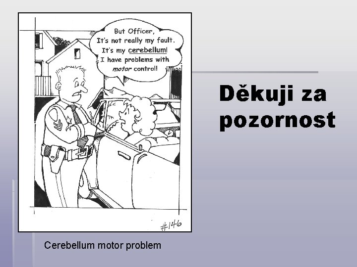 Děkuji za pozornost Cerebellum motor problem 