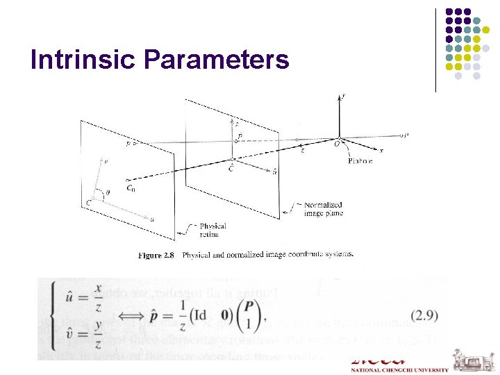 Intrinsic Parameters 