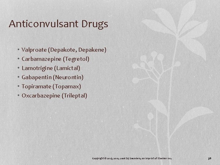 Anticonvulsant Drugs • • • Valproate (Depakote, Depakene) Carbamazepine (Tegretol) Lamotrigine (Lamictal) Gabapentin (Neurontin)