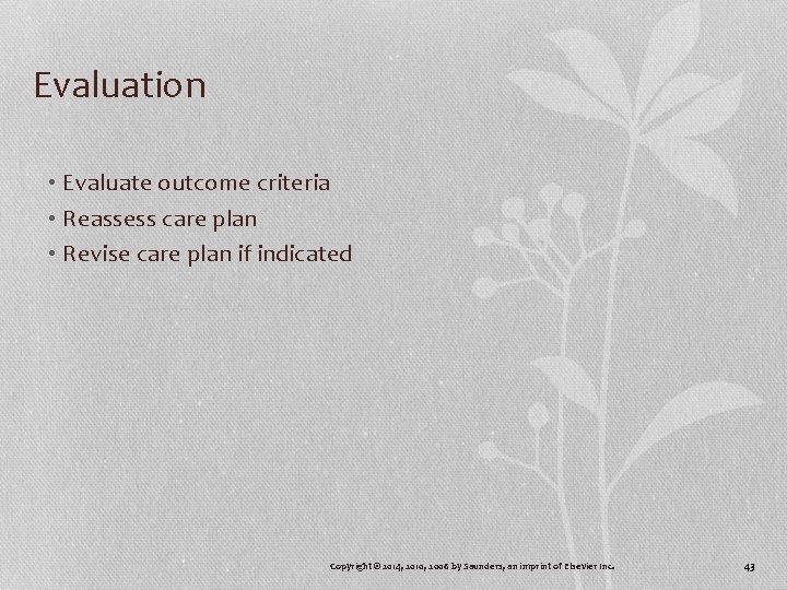 Evaluation • Evaluate outcome criteria • Reassess care plan • Revise care plan if