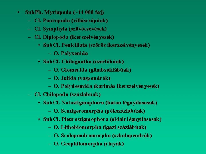  • Sub. Ph. Myriapoda (~14 000 faj) – Cl. Pauropoda (villáscsápúak) – Cl.