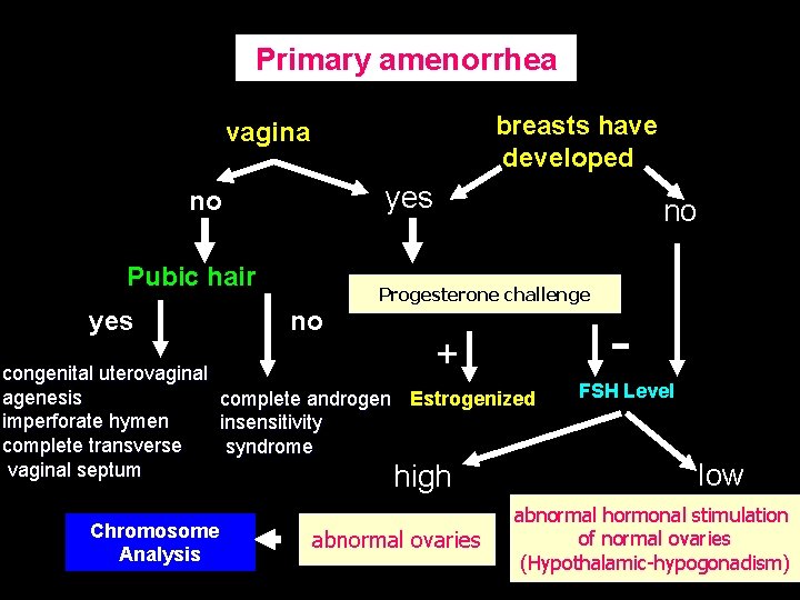 Primary amenorrhea breasts have developed vagina yes no Pubic hair yes no Progesterone challenge