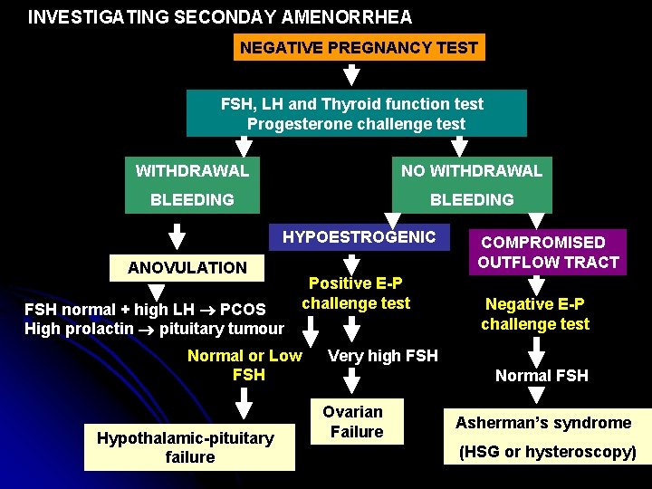 INVESTIGATING SECONDAY AMENORRHEA NEGATIVE PREGNANCY TEST FSH, LH and Thyroid function test Progesterone challenge
