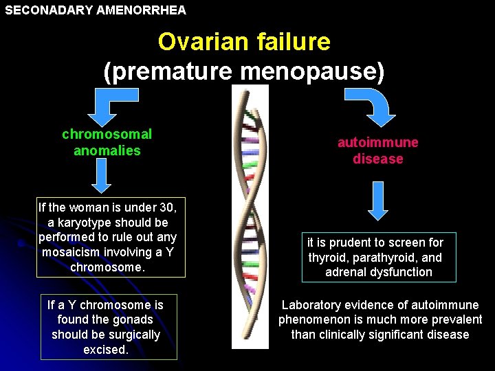 SECONADARY AMENORRHEA Ovarian failure (premature menopause) chromosomal anomalies If the woman is under 30,