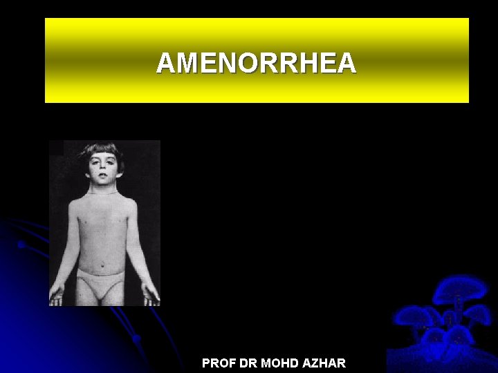 AMENORRHEA PROF DR MOHD AZHAR 