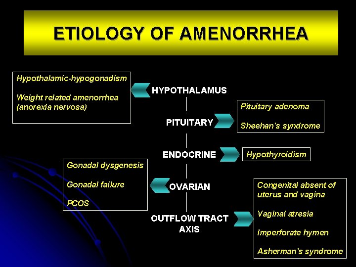 ETIOLOGY OF AMENORRHEA Hypothalamic-hypogonadism Weight related amenorrhea (anorexia nervosa) HYPOTHALAMUS Pituitary adenoma PITUITARY ENDOCRINE