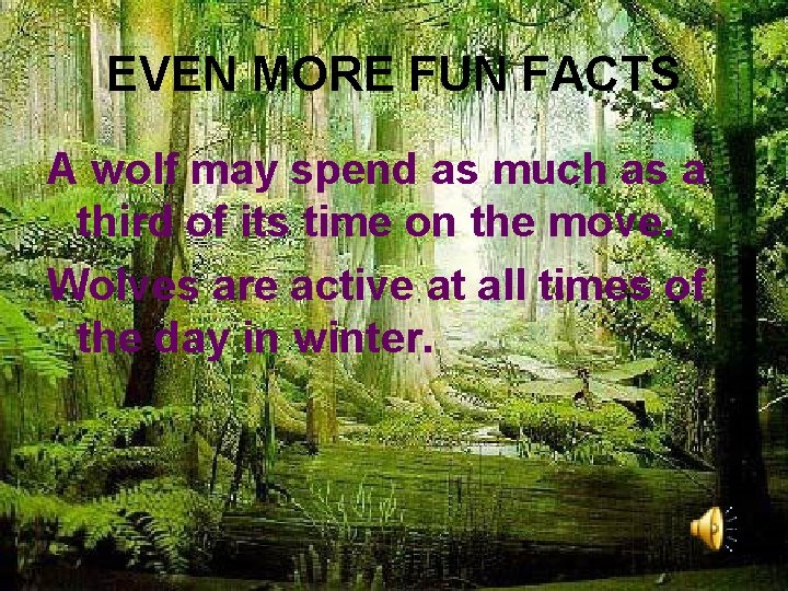 EVEN MORE FUN FACTS A wolf may spend as much as a third of