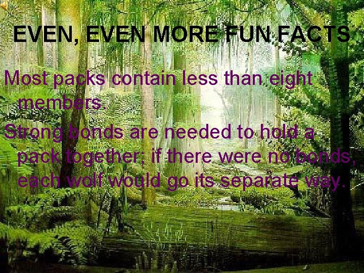 EVEN, EVEN MORE FUN FACTS Most packs contain less than eight members. Strong bonds