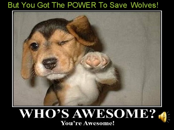 But You Got The POWER To Save Wolves! 