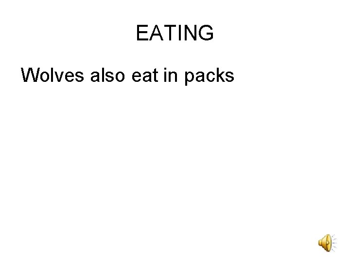 EATING Wolves also eat in packs 