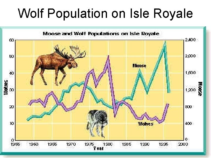 Wolf Population on Isle Royale 