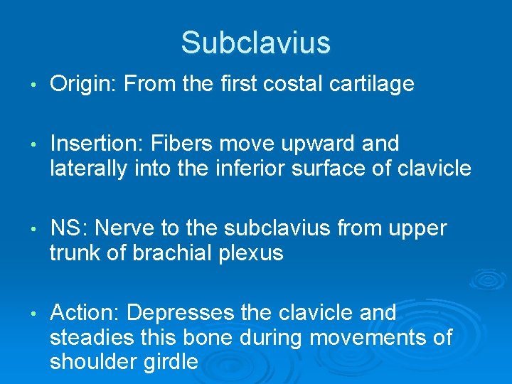 Subclavius • Origin: From the first costal cartilage • Insertion: Fibers move upward and