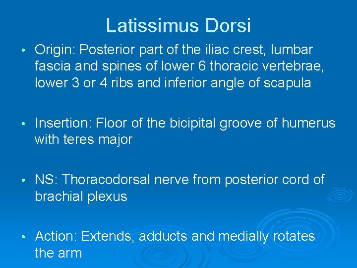 Latissimus Dorsi • Origin: Posterior part of the iliac crest, lumbar fascia and spines