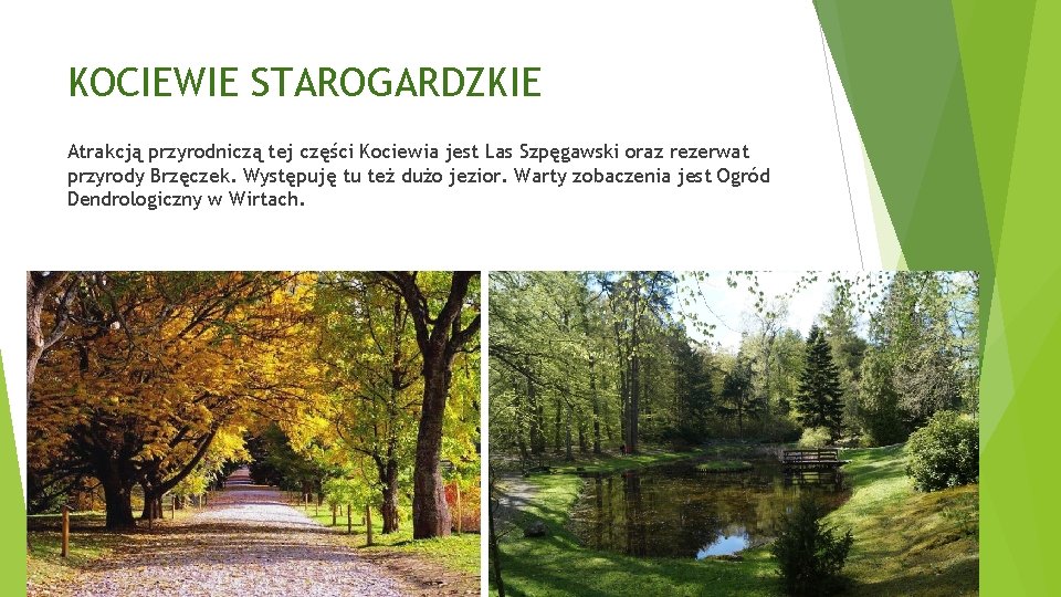 KOCIEWIE STAROGARDZKIE Atrakcją przyrodniczą tej części Kociewia jest Las Szpęgawski oraz rezerwat przyrody Brzęczek.