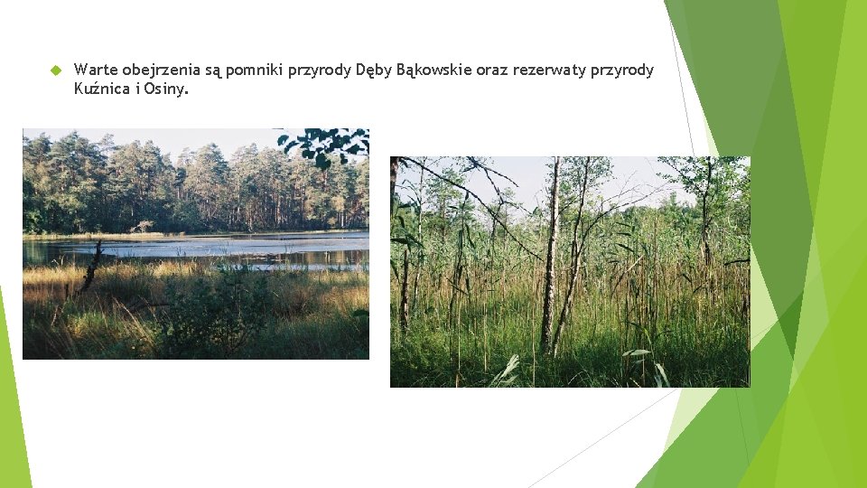  Warte obejrzenia są pomniki przyrody Dęby Bąkowskie oraz rezerwaty przyrody Kuźnica i Osiny.