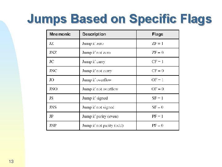 Jumps Based on Specific Flags 13 