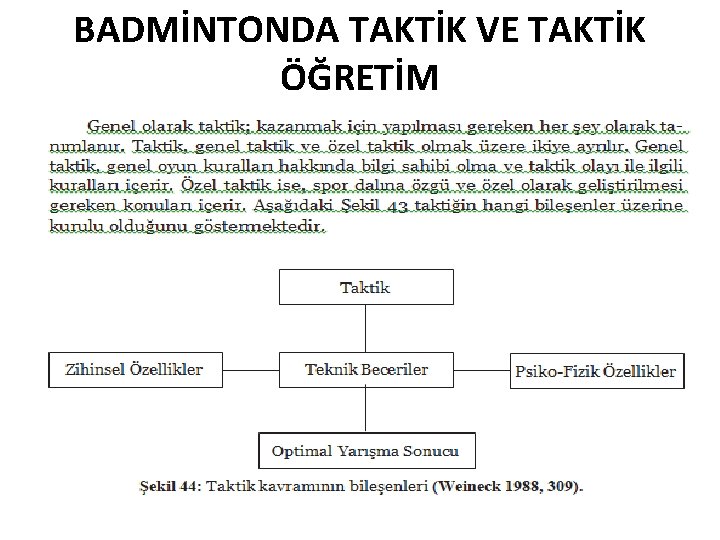 BADMİNTONDA TAKTİK VE TAKTİK ÖĞRETİM 