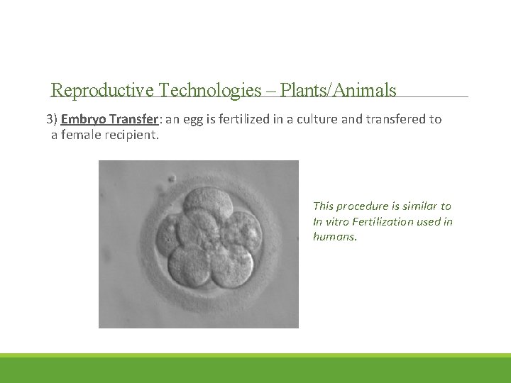 Reproductive Technologies – Plants/Animals 3) Embryo Transfer: an egg is fertilized in a culture