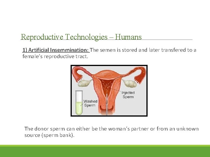 Reproductive Technologies – Humans 1) Artificial Insemmination: The semen is stored and later transfered