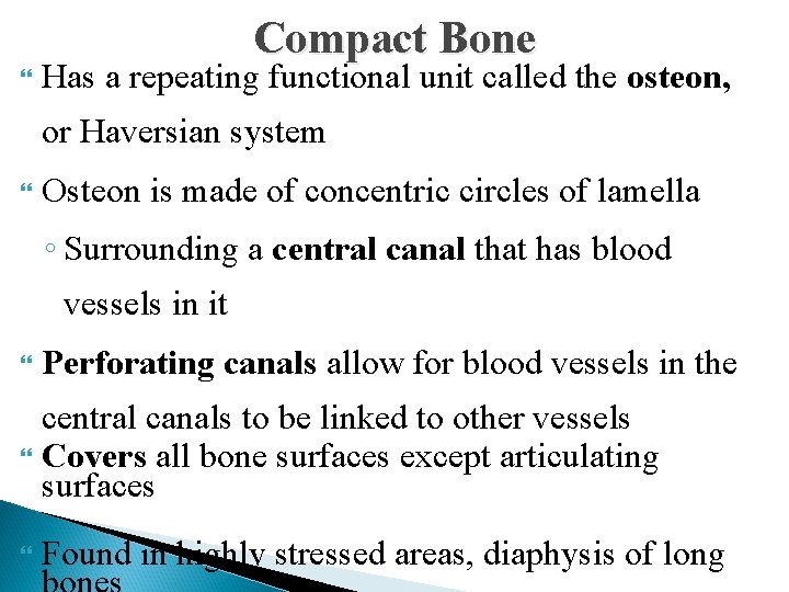 Compact Bone Has a repeating functional unit called the osteon, or Haversian system Osteon
