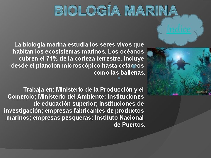 BIOLOGÍA MARINA índice La biología marina estudia los seres vivos que habitan los ecosistemas