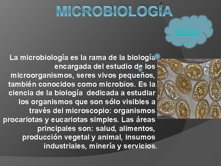 MICROBIOLOGÍA índice La microbiología es la rama de la biología encargada del estudio de